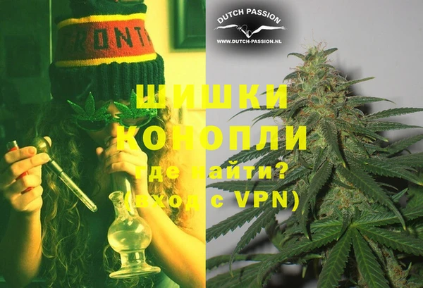 PSILOCYBIN Михайлов
