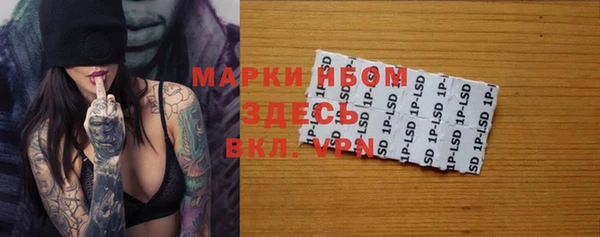 PSILOCYBIN Михайлов
