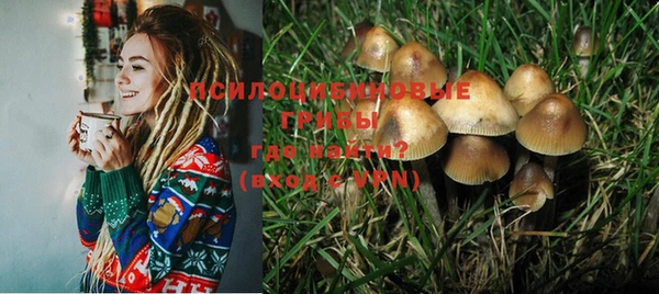 крисы Михайловка