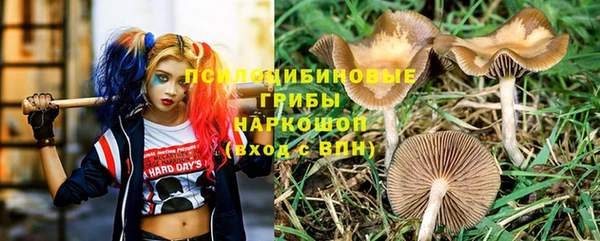 мяу мяу мука Михайловск