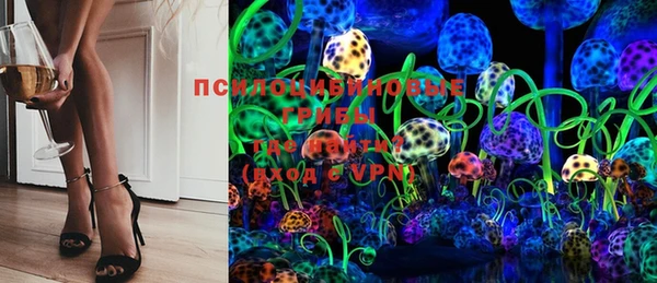 PSILOCYBIN Михайлов