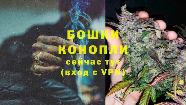 мяу мяу мука Михайловск