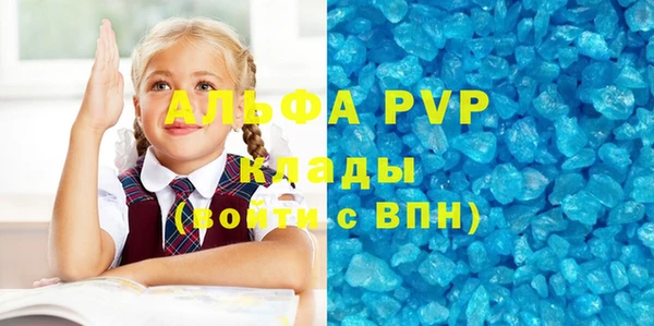 PSILOCYBIN Михайлов