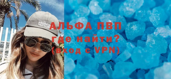 PSILOCYBIN Михайлов