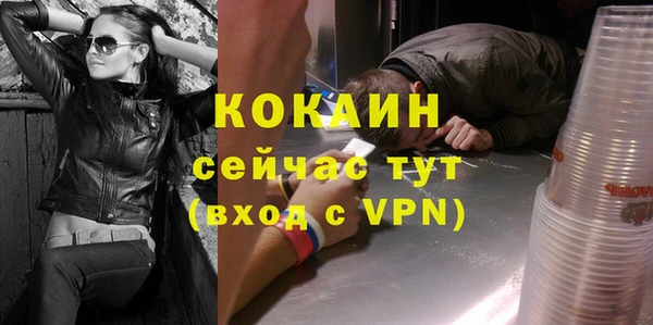 мяу мяу мука Михайловск