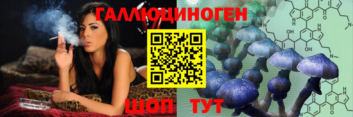 Псилоцибиновые грибы Psilocybe  Вход с VPN  Коммунар 